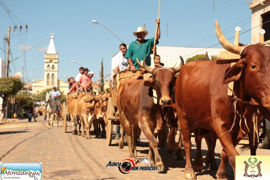8º desfile de Carros de Boi
