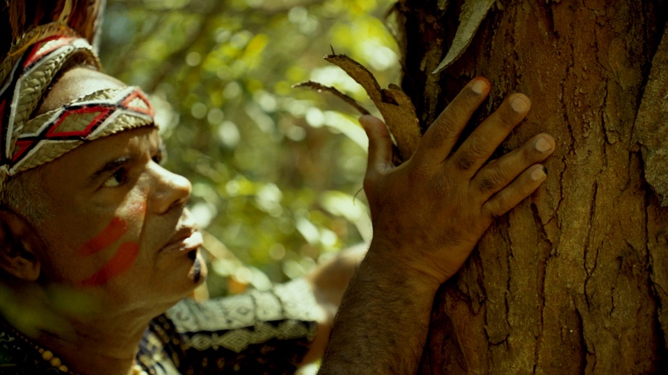 6ª Mostra Cine Vida acontece neste sábado (7)