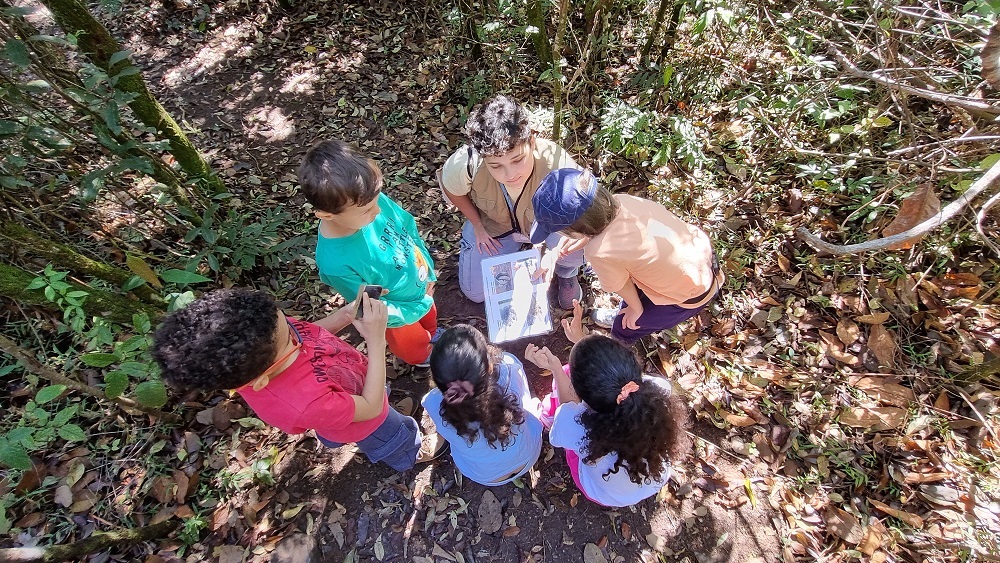Trilhas guiadas em dois parques de Belo Horizonte destacam plantas medicinais, florestas e água