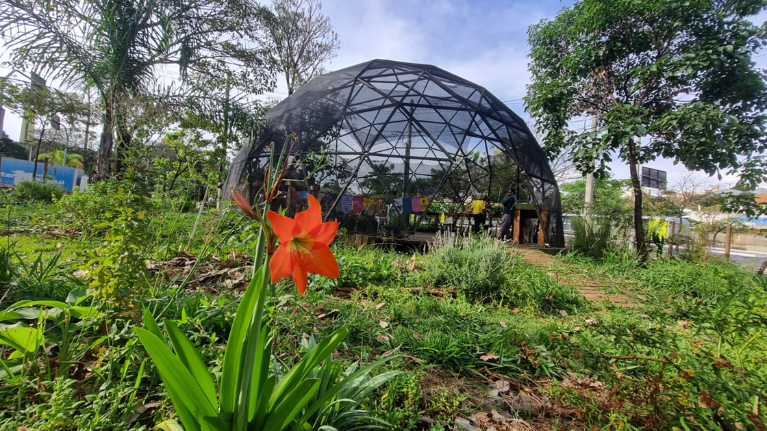Abertas as inscrições para o curso Conexão Agroecológica