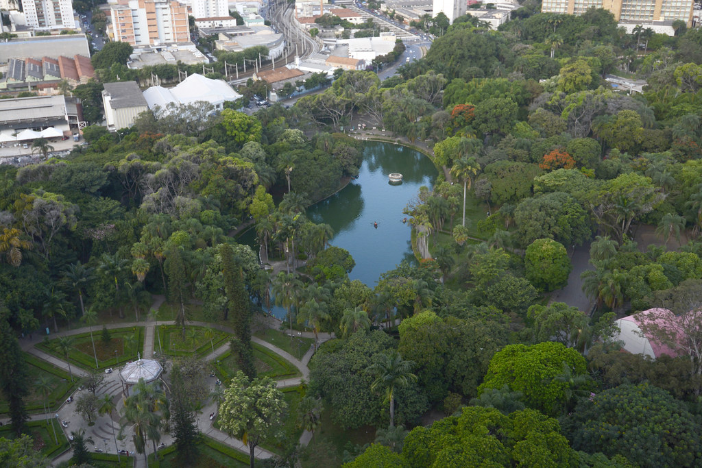 BH é reconhecida como "Cidade Árvore do Mundo" pela terceira vez consecutiva