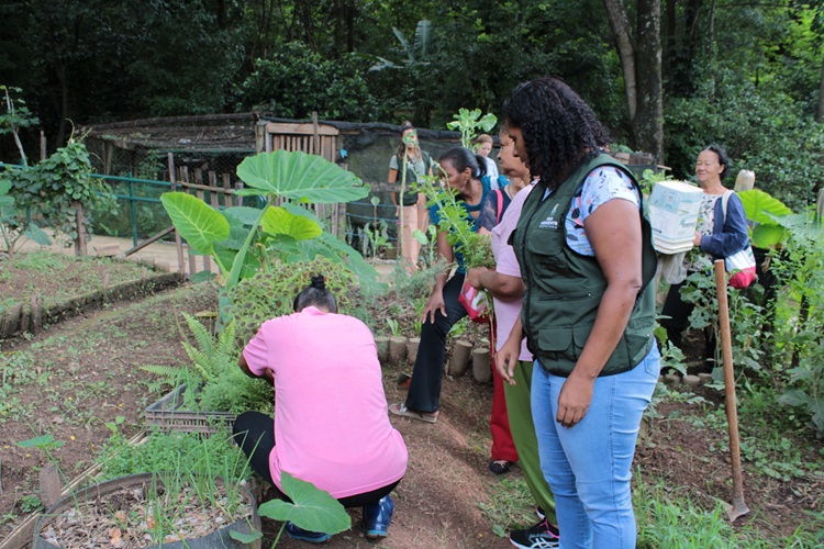 CEVAEs recebem inscrições para oficinas sobre Plantas Alimentícias Não Convencionais