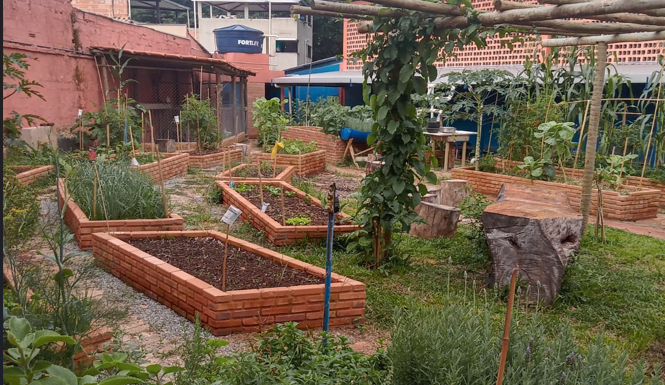 Ambiente em Foco Virtual debate a relação entre horta escolar, arte e identidade étnico-racial