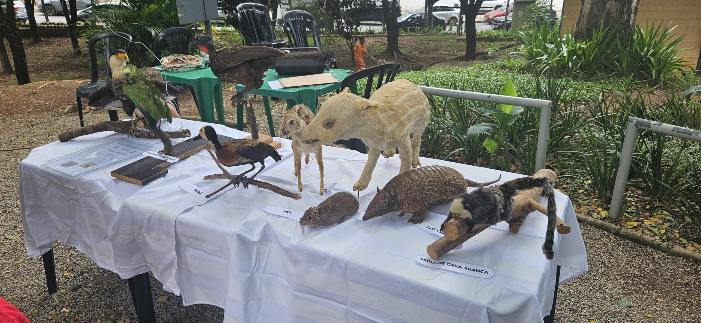 Parque no Bairro Betânia promove atividades de lazer e exposição neste fim de semana