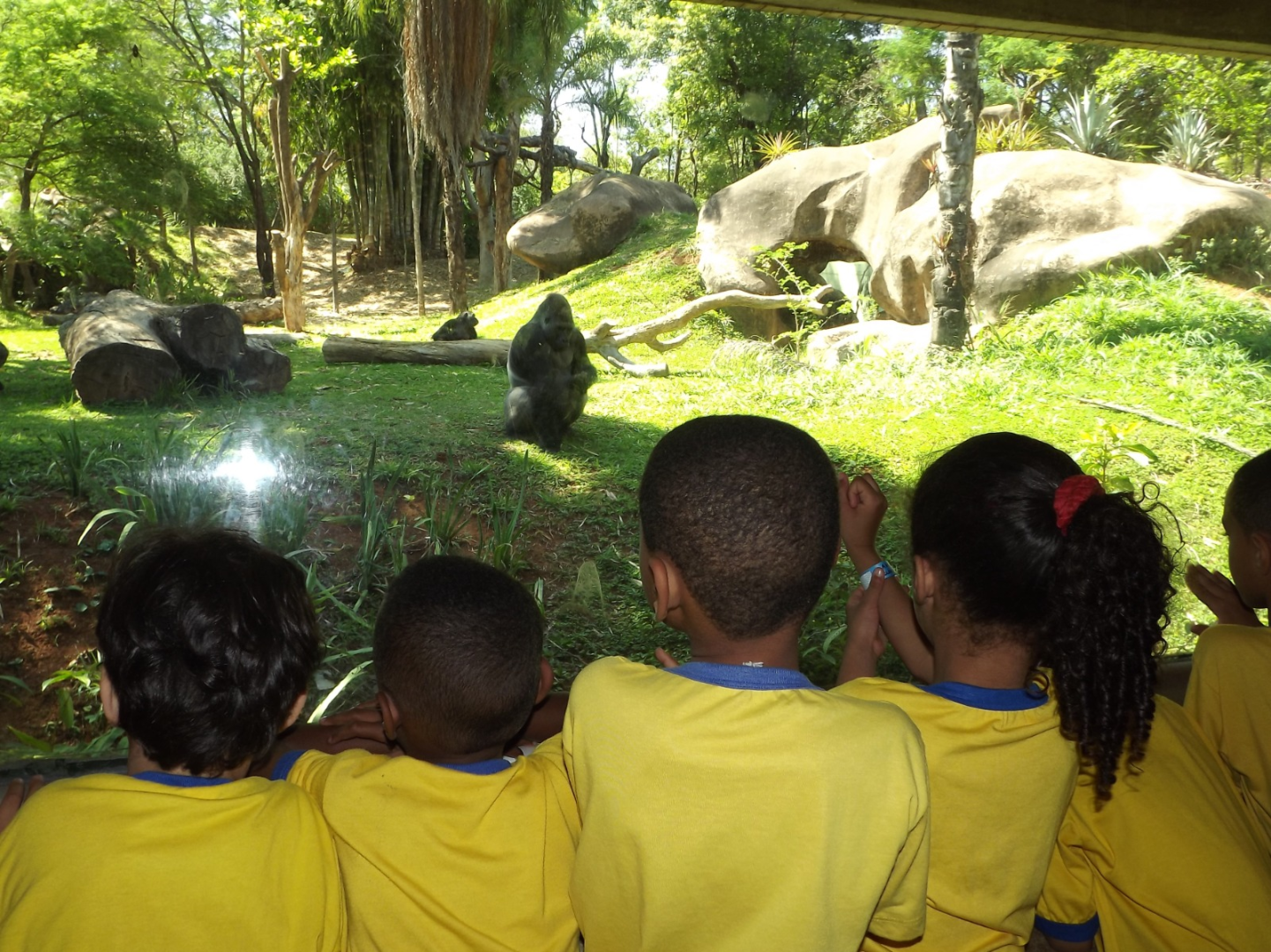 Espaços da Zoobotânica oferecem visitas livres, atividades educativas e gratuidade de acesso