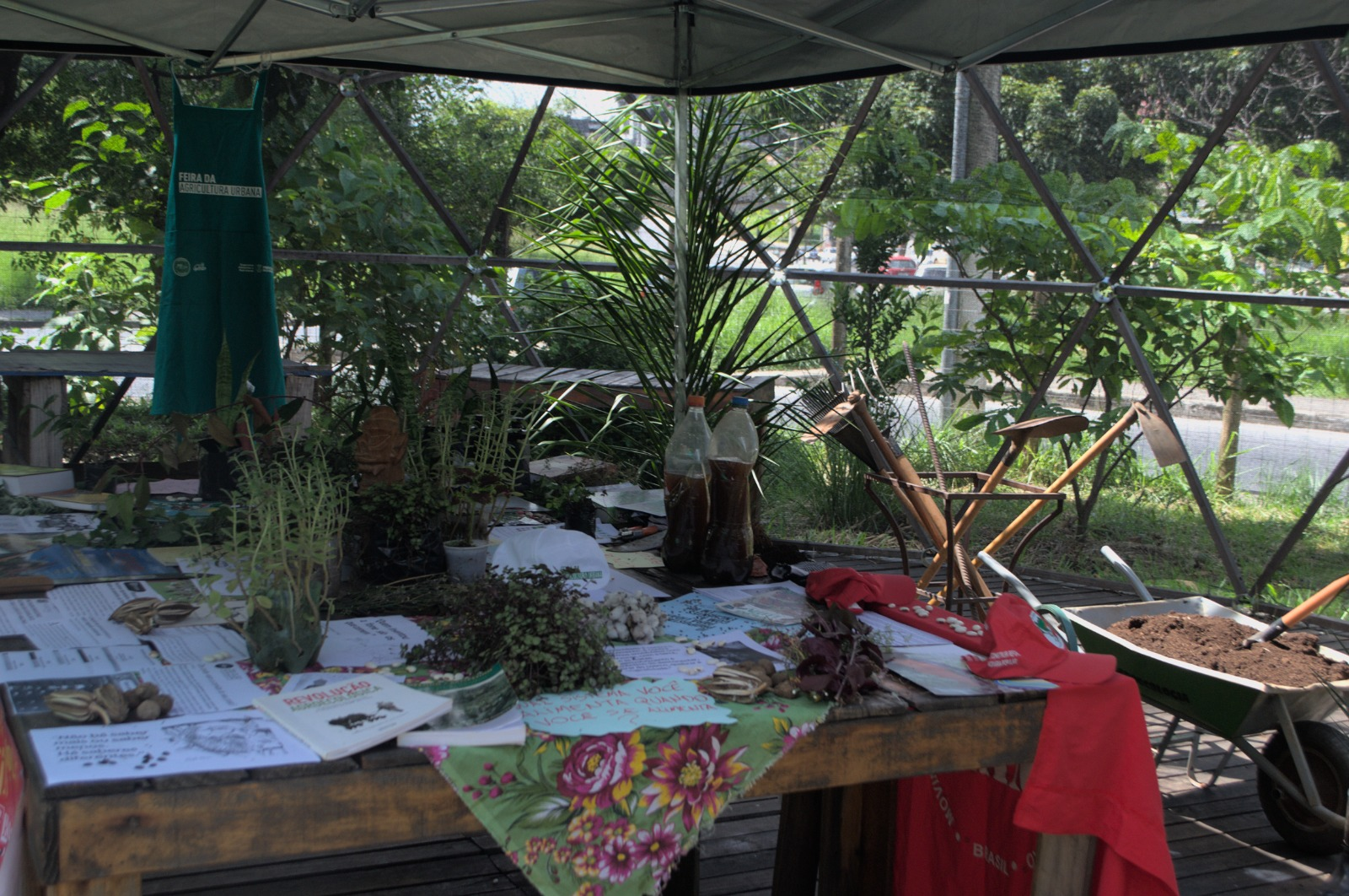Mais de 500 pessoas são classificadas para curso de Conexão Agroecológica